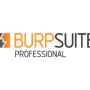 Burp Suite